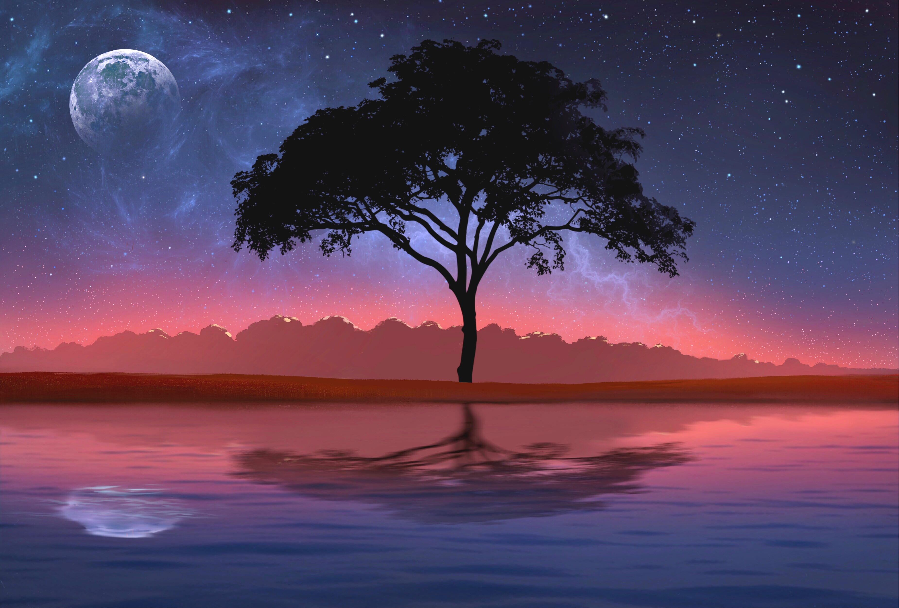 Moonlit Tree Reflection