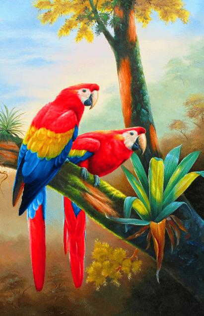 African Parrot Couple