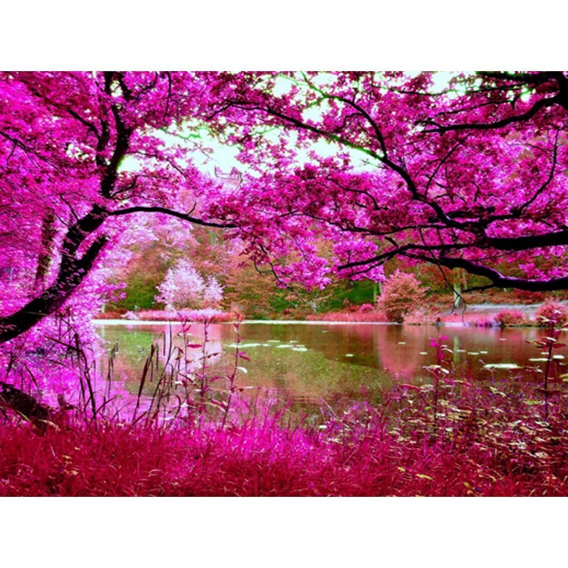 Cherry Blossom Forest