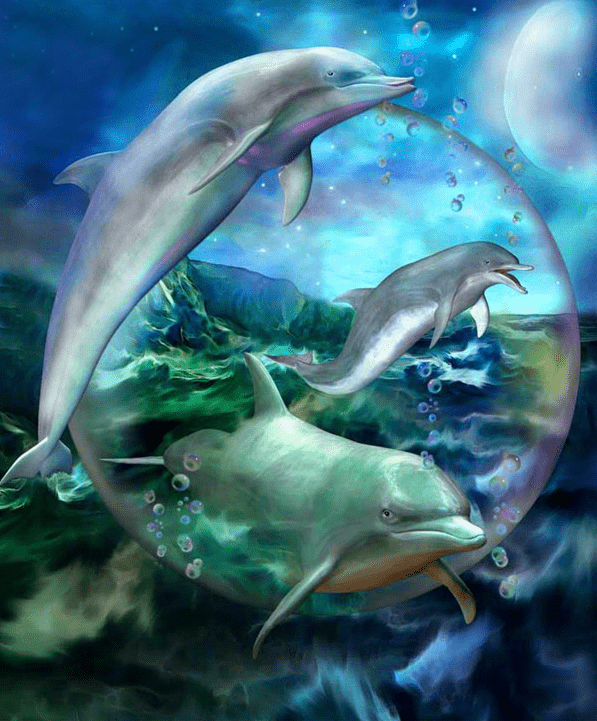 Dolphin World