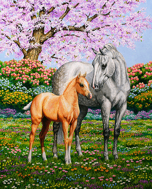 Flower Field Horses