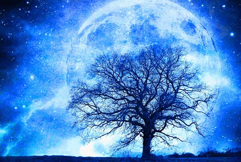 Full Moon Winter Tree