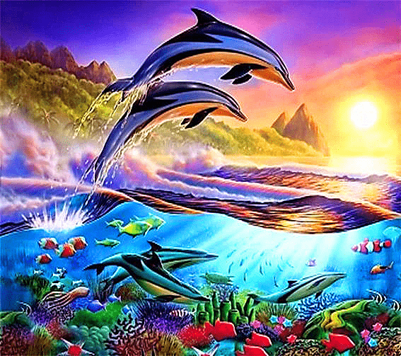 Hawaiian Dolphin Paradise