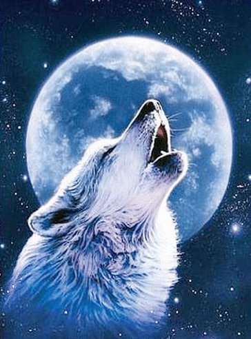 Midnight Howling Wolf