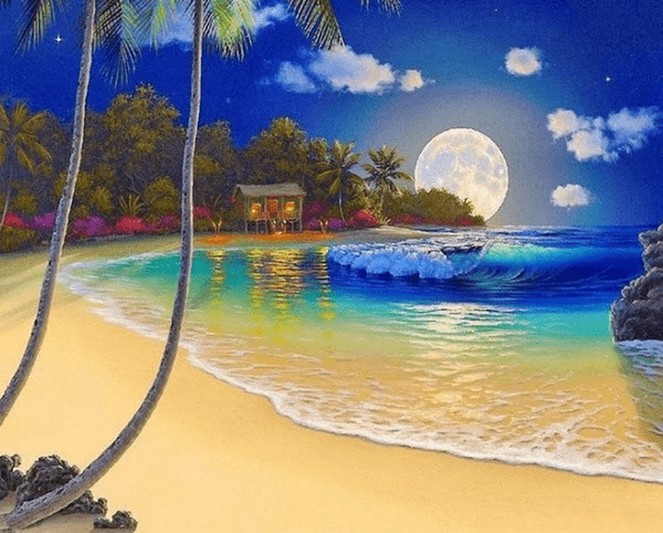 Moonlight Surfrider Beach