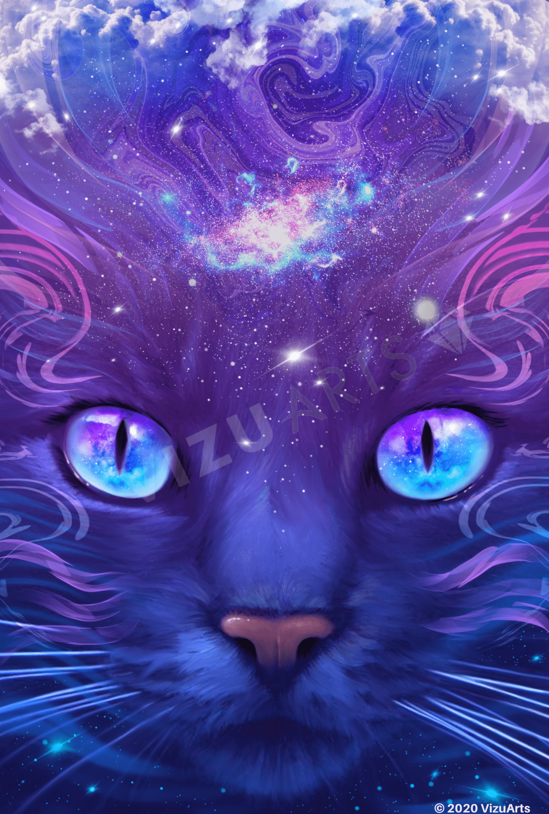Nebula Cat