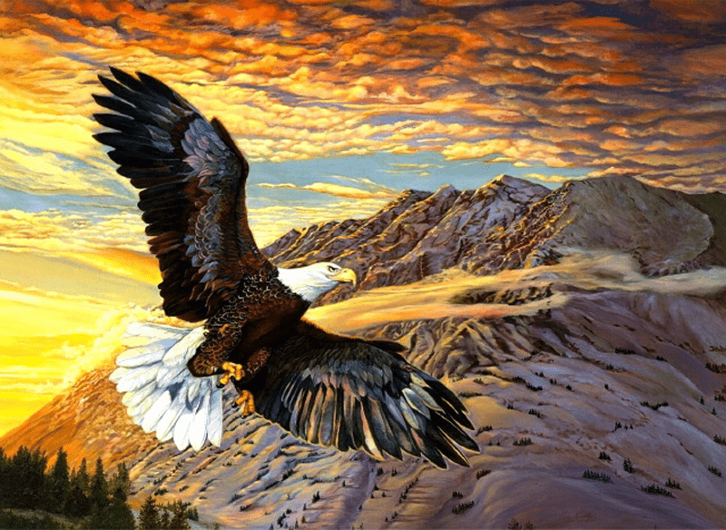 Sunset Soaring Eagle