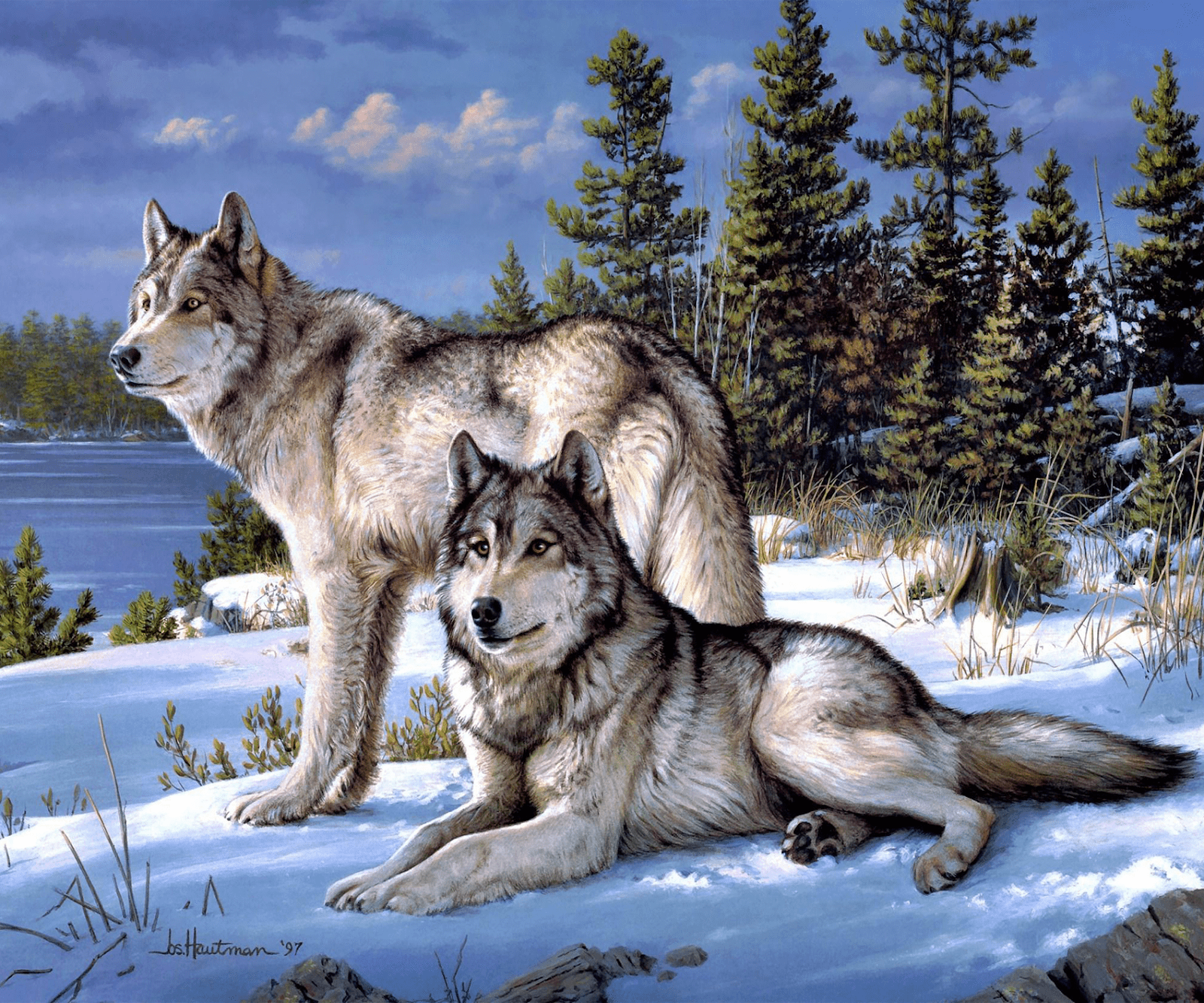 Winter Wolf Couple