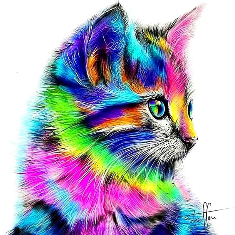 Neon Kitty