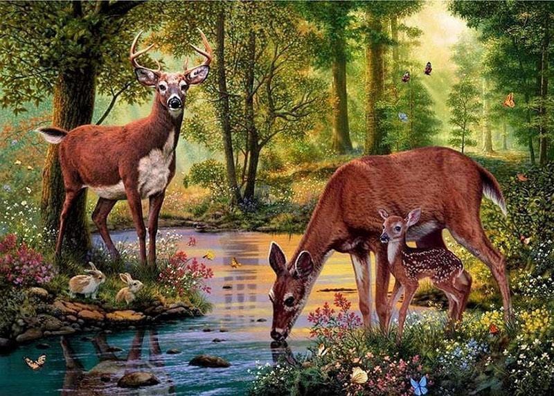 Deer Drinking