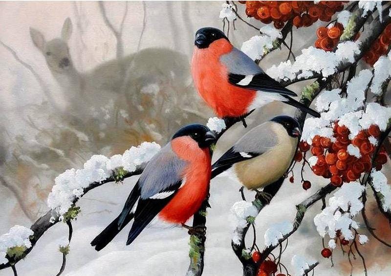 Winter Birds