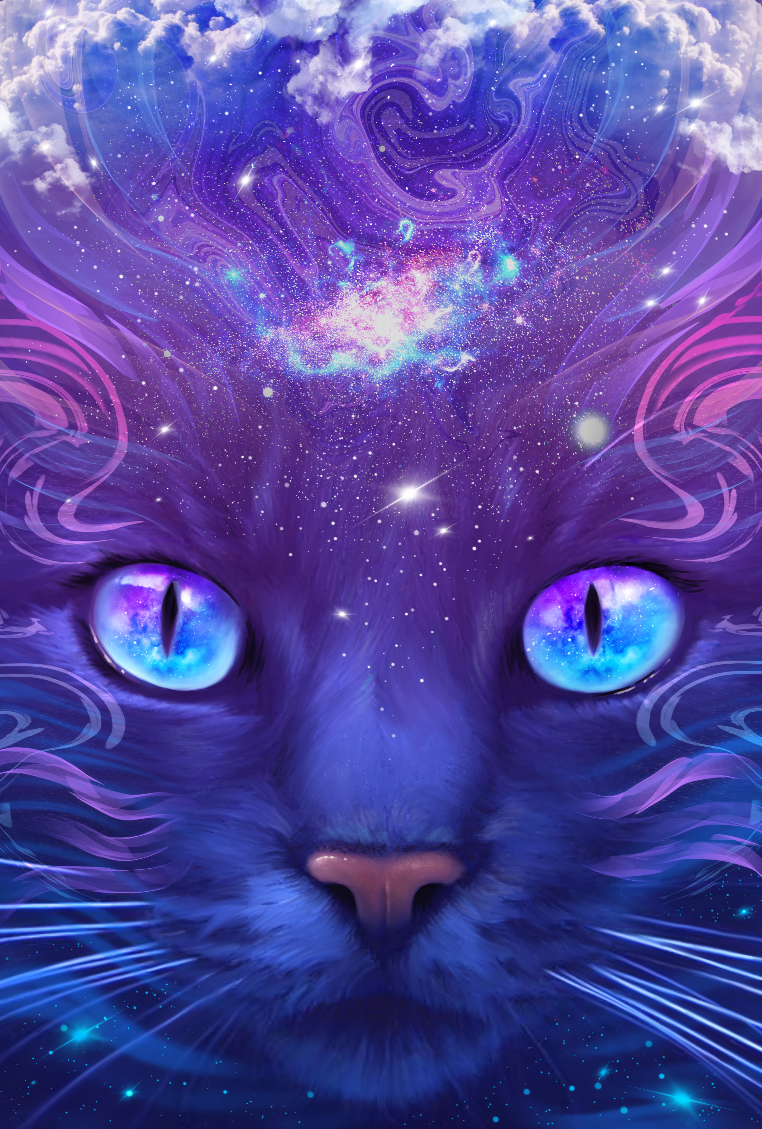 Nebula Cat