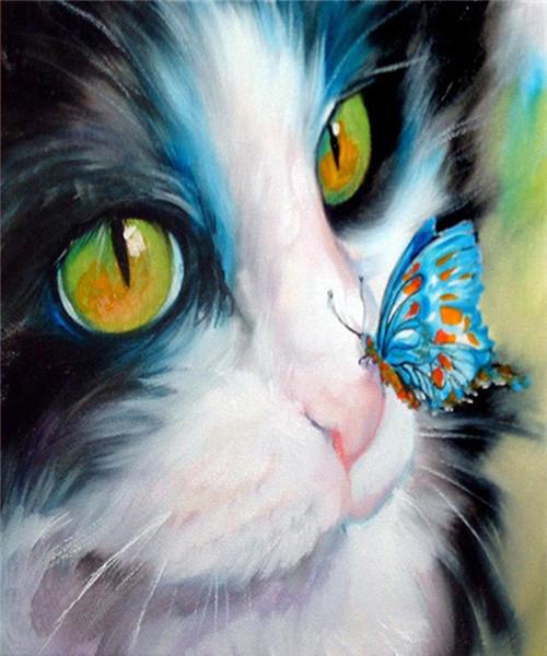 Butterfly Cat