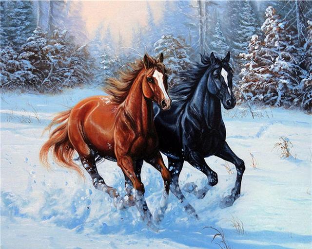 Horse Snow Race