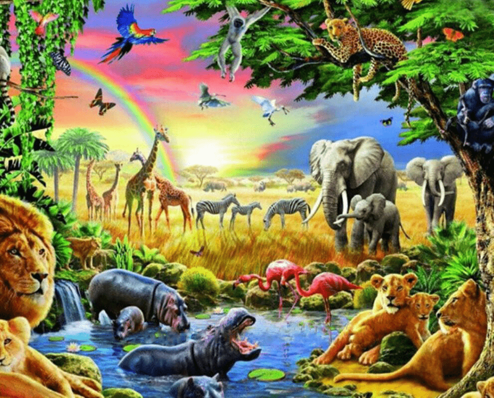 African Paradise