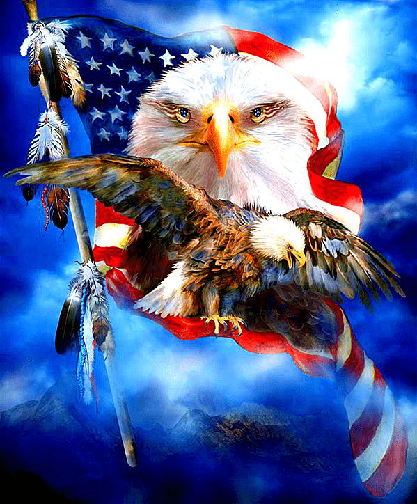 Bald Eagle American Flag