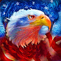 Bald Eagle Stars