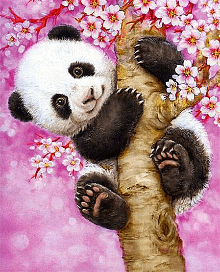 Cherry Blossom Tree Panda