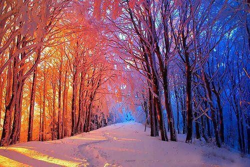 Cold Path