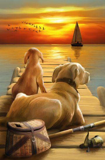 Dogs Aboard