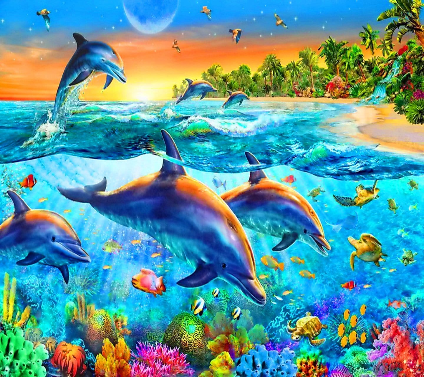 Dolphin Life
