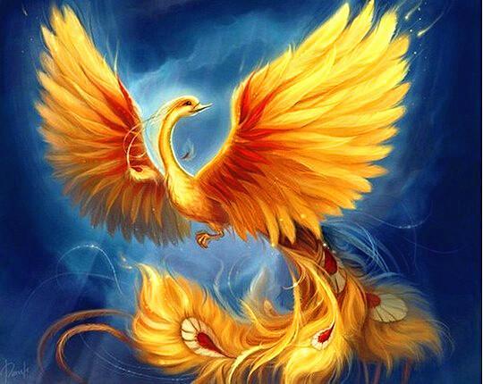 Golden Phoenix