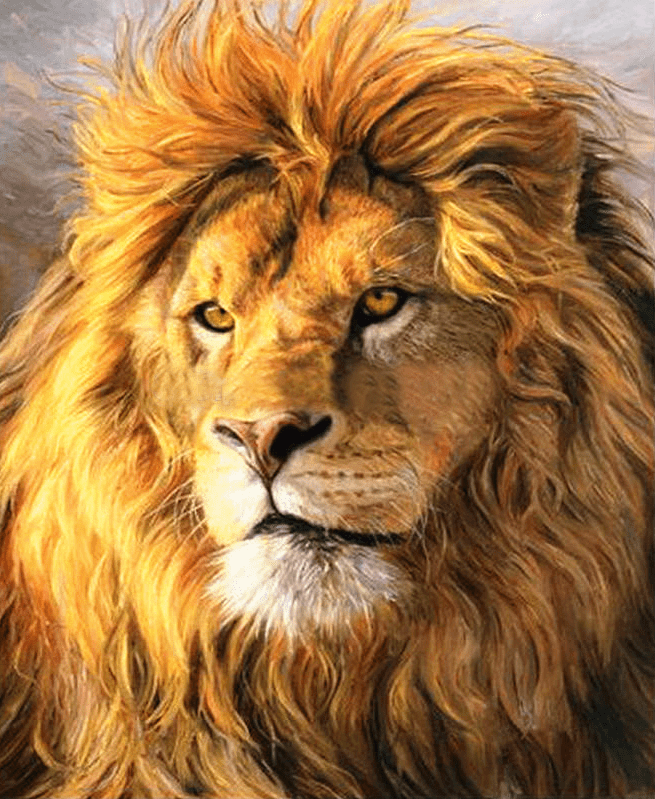 King of the Jungle