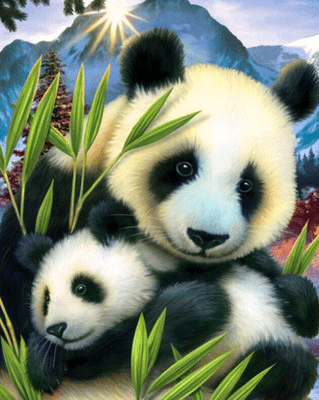 Panda Mom & Cub