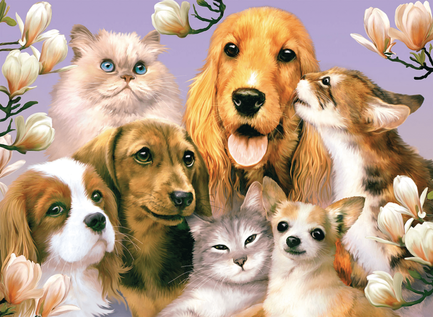 Pet Family