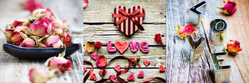 Petals and Love