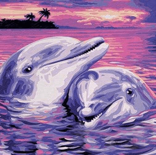 Pink Sunset Dolphins