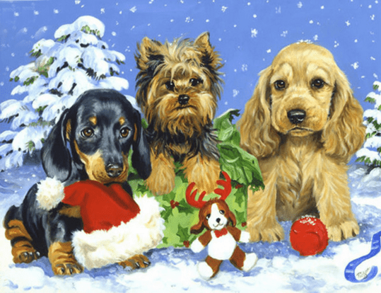 Puppy Snow Day