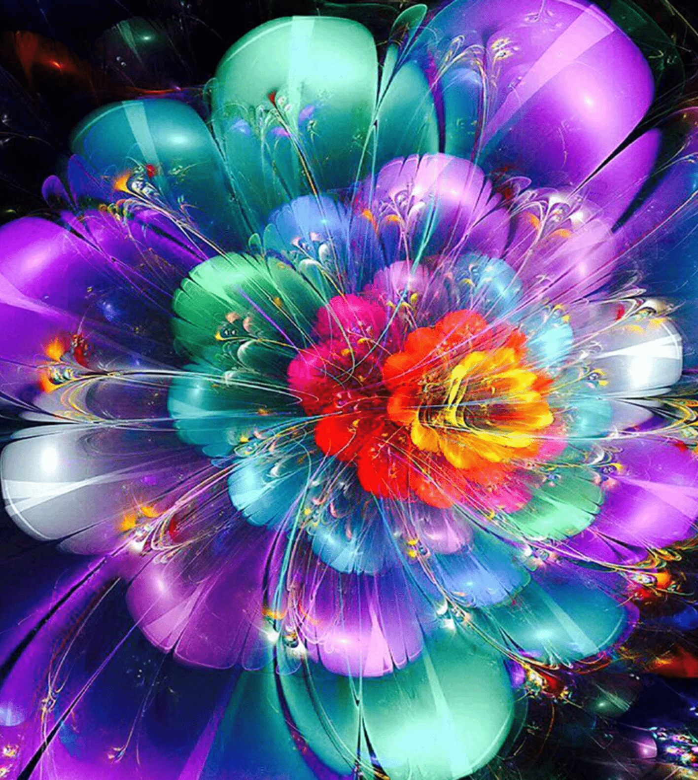 Color Burst Rose