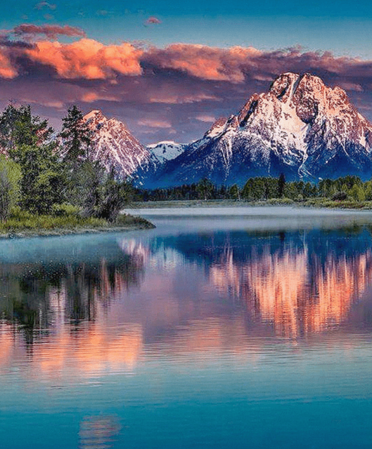 Purple Rockies