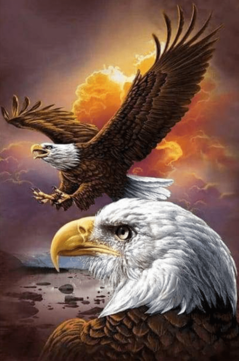 American Eagle