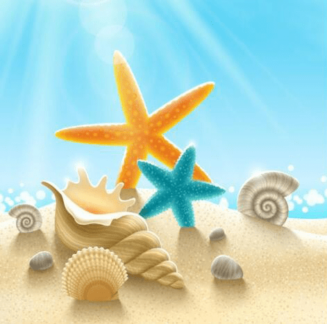 Starfish Seashore