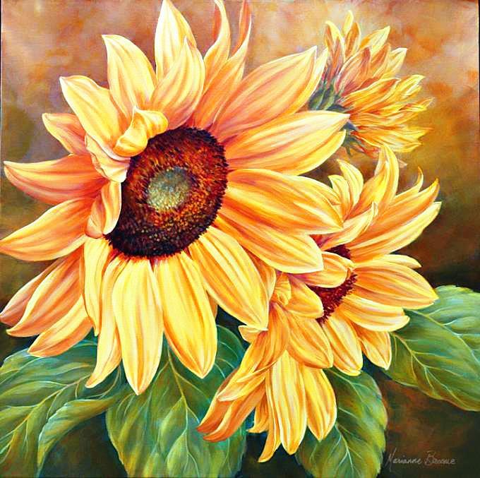 Sunflower Strokes