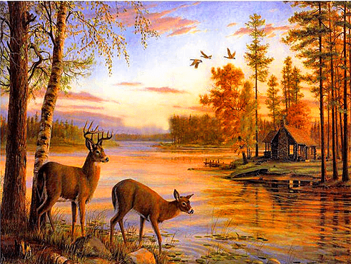 Sunset Deer Lake