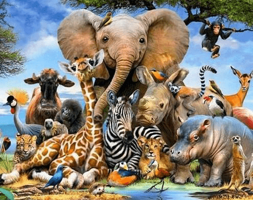 The Animal Kingdom