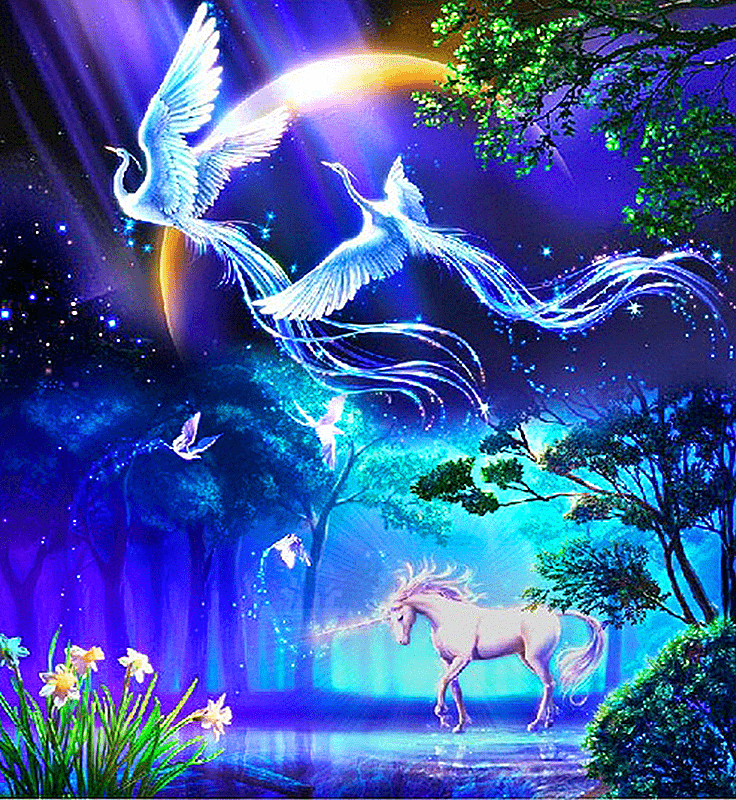 Unicorn Planet