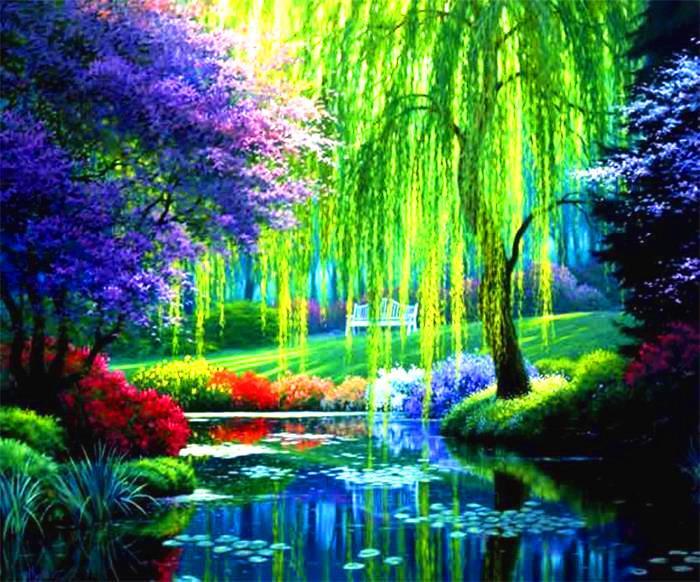 Weeping Willow Pond