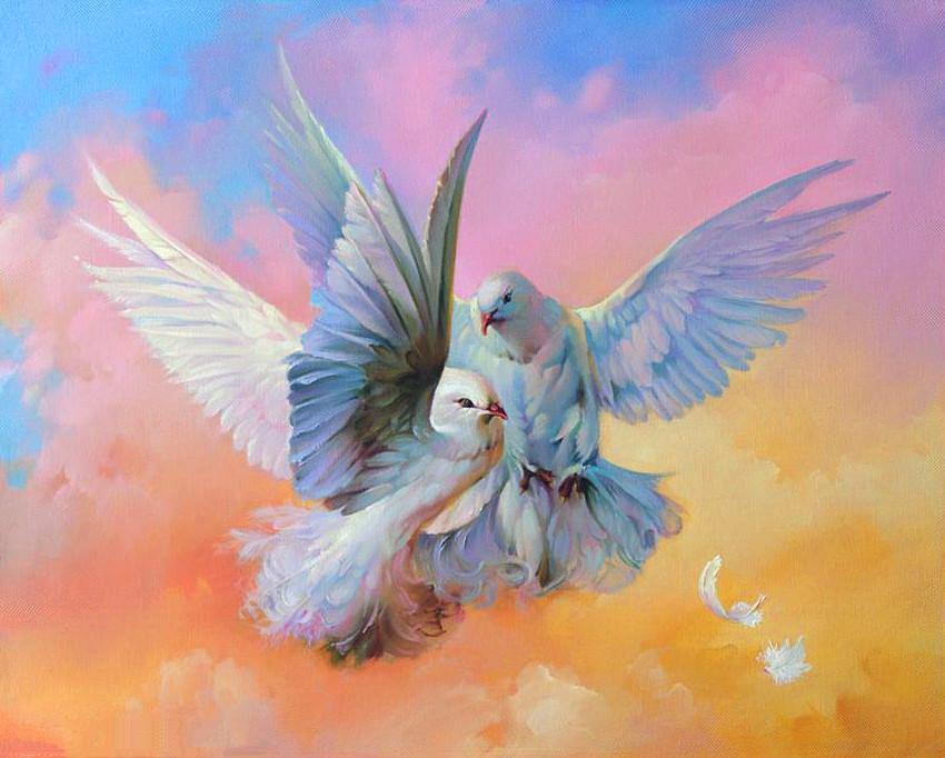 White Dove Clash