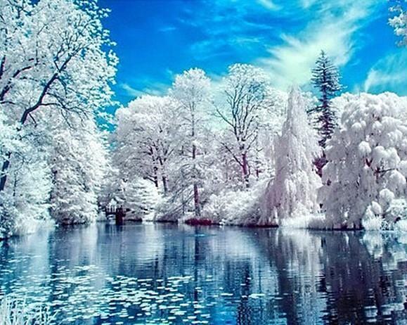 White Forest