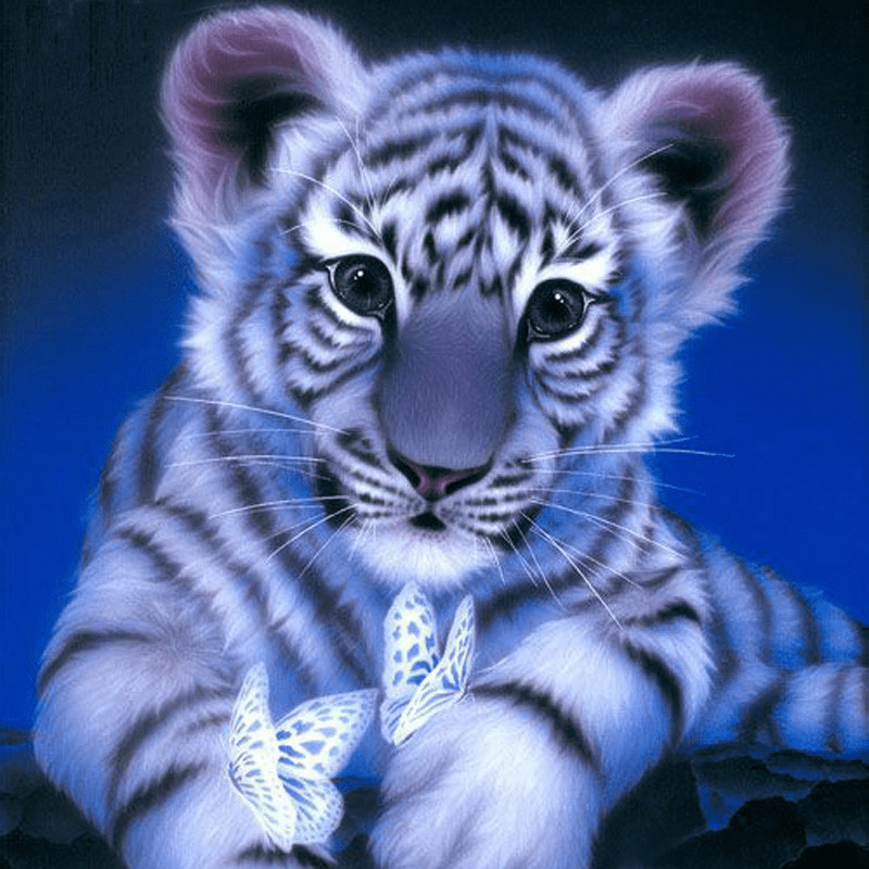 White Tiger Butterfly