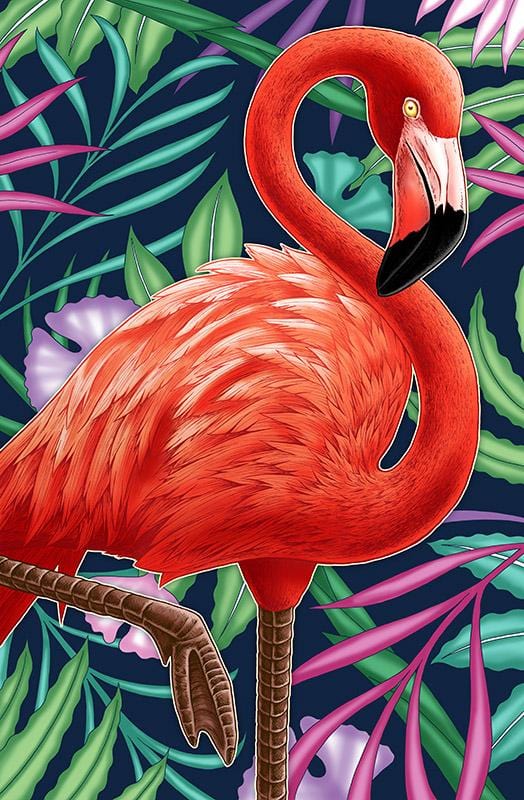 Tropical Flamingo