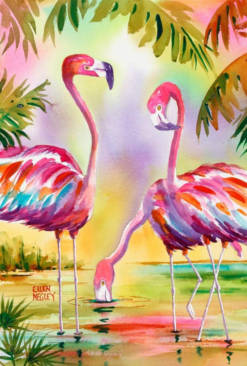Flamboyance of Flamingos