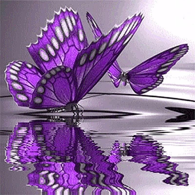 Purple Butterflies On Water