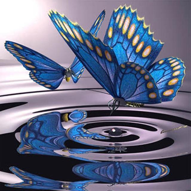 Blue Butterflies On Water