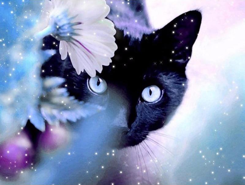 Violet Cat