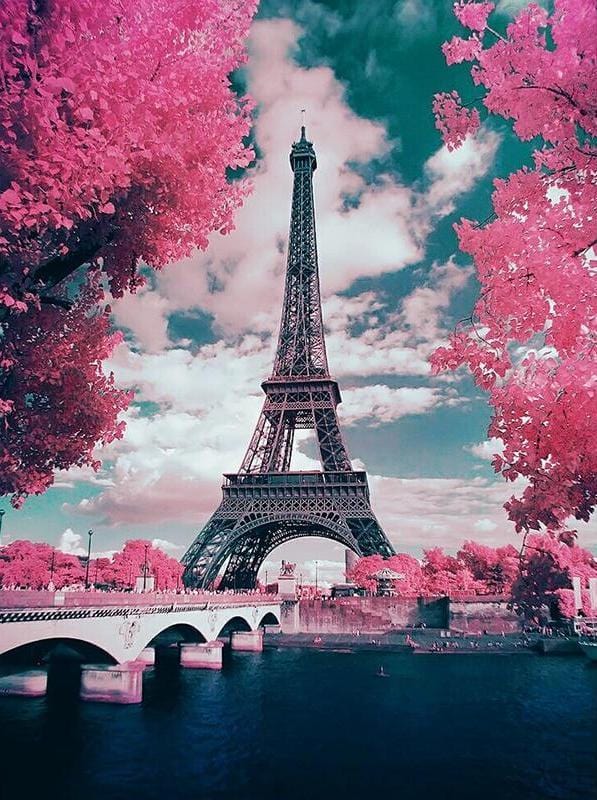 Pink Paris